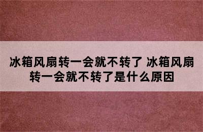 冰箱风扇转一会就不转了 冰箱风扇转一会就不转了是什么原因